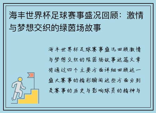 海丰世界杯足球赛事盛况回顾：激情与梦想交织的绿茵场故事